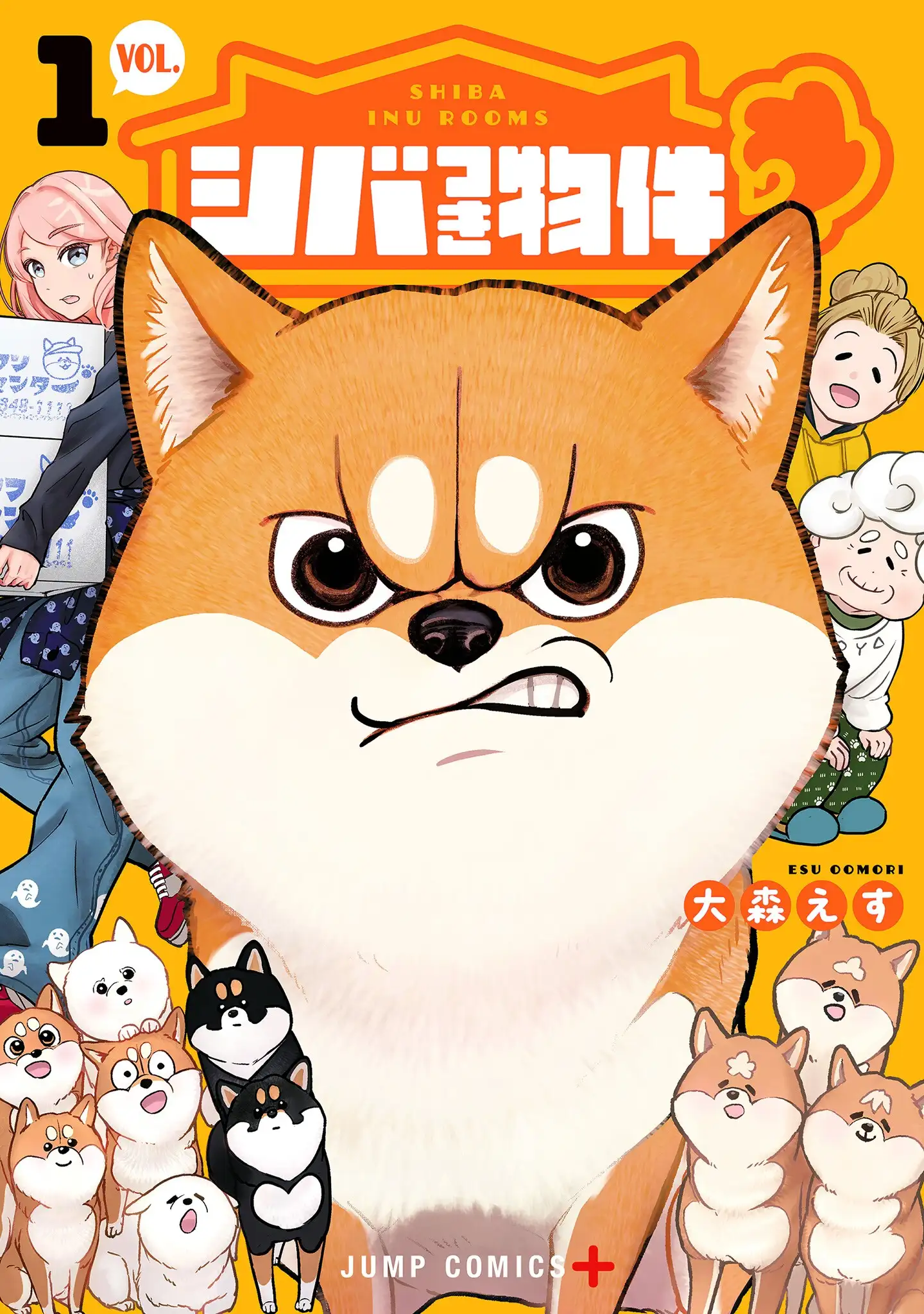 Shiba Inu Rooms