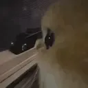 :eye: