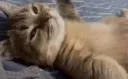 :chilling: