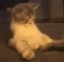 :kok: