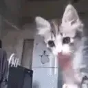 :yo: